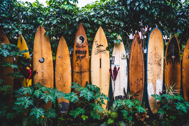 Surfing